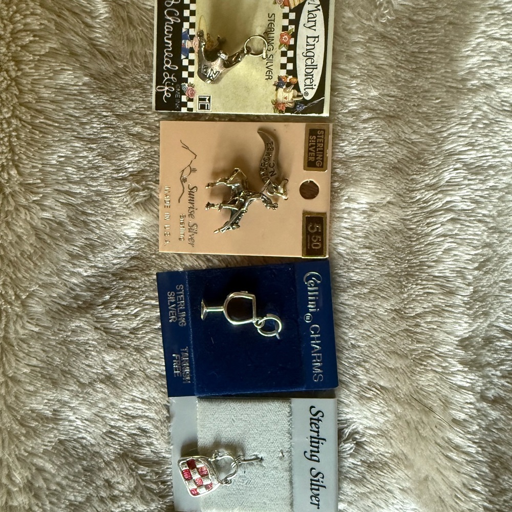 Sterling Silver Charm Collection